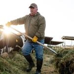 Here’s My Top Dividend Stock to Buy in September Here’s My Top Dividend Stock to Buy in September