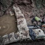 Study reveals overlooked investment sector that could reshape global economy: ‘It fosters international partnerships’ Study reveals overlooked investment sector that could reshape global economy: ‘It fosters international partnerships’