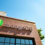 MongoDB stock soars on AI tailwind, Kohl’s surges, Okta gains, Abercrombie & Fitch falls MongoDB stock soars on AI tailwind, Kohl’s surges, Okta gains, Abercrombie & Fitch falls