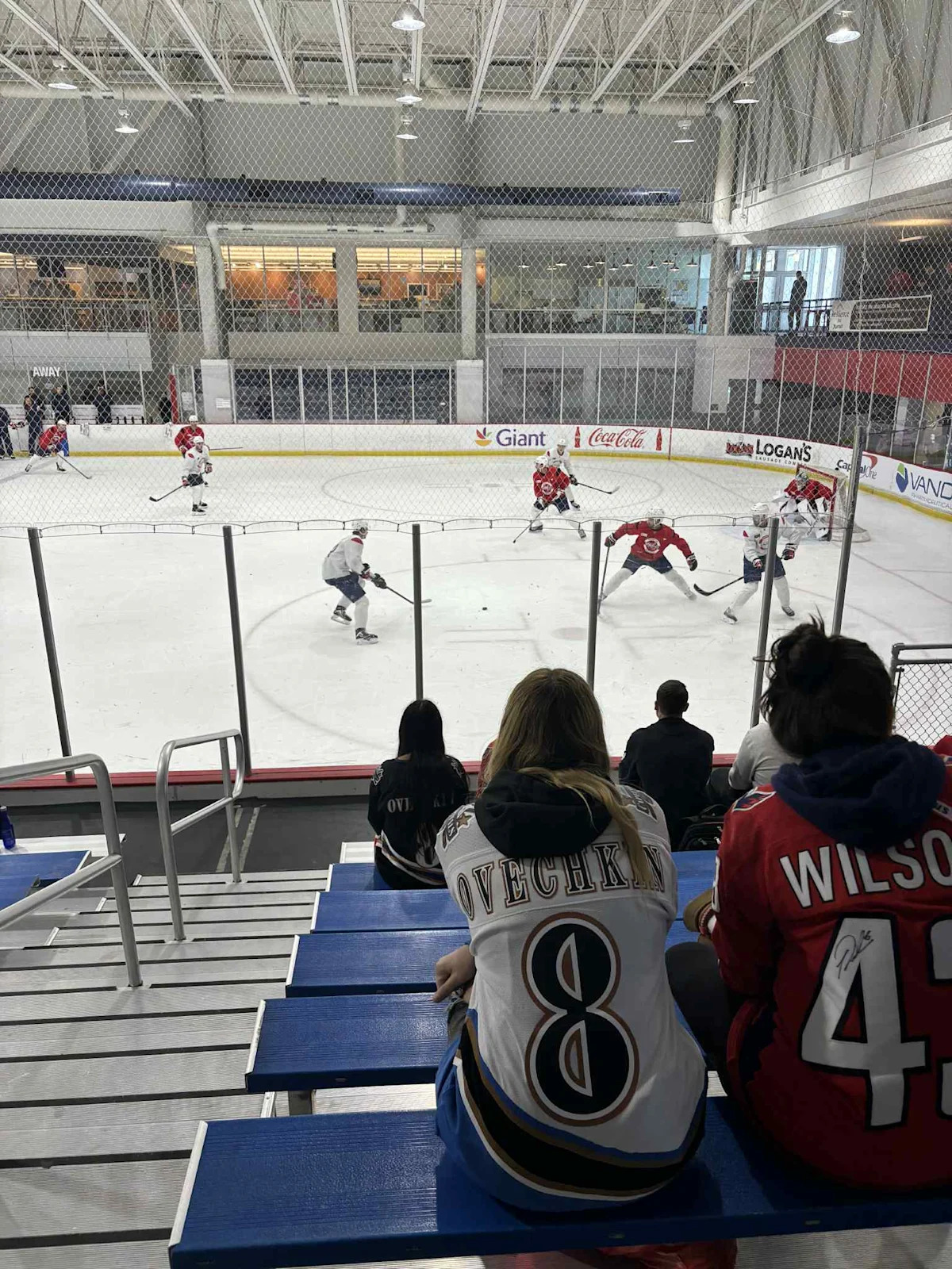 Capitals Relieve Assistant Coach Mitch Love of Duties Capitals Relieve Assistant Coach Mitch Love of Duties