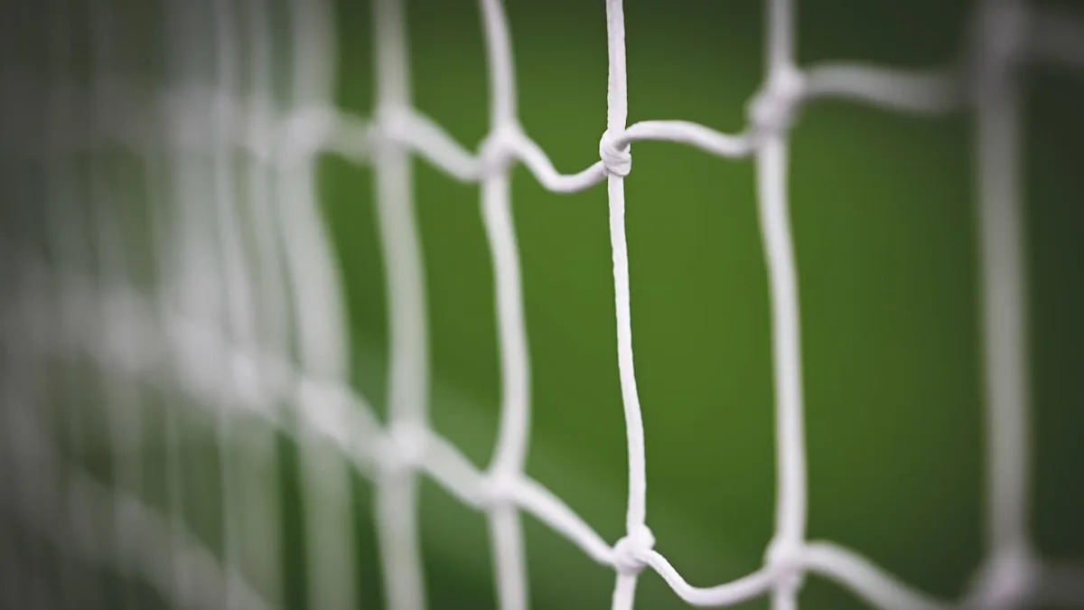 Openda and Zhegrova | Stats and Facts Openda and Zhegrova | Stats and Facts