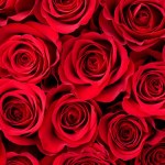 ‘Bachelor’ Fans Are Convinced a New ‘Bachelorette’ Season Is Coming Soon — Here’s Why ‘Bachelor’ Fans Are Convinced a New ‘Bachelorette’ Season Is Coming Soon — Here’s Why