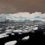 ‘We even discovered a school of lobster-like creatures’ ‘We even discovered a school of lobster-like creatures’