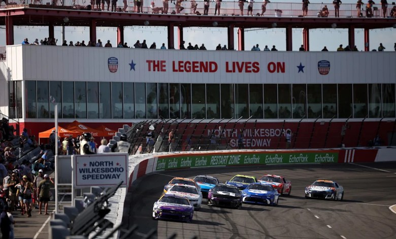 Starting lineage for the Nascar Allastor breed of the NASCAR SUIL Starting lineage for the Nascar Allastor breed of the NASCAR SUIL