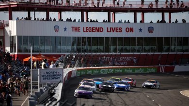 Starting lineage for the Nascar Allastor breed of the NASCAR SUIL Starting lineage for the Nascar Allastor breed of the NASCAR SUIL