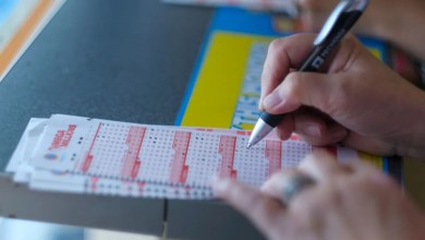 Mega Millions winning numbers for Friday November 14, 2025 Mega Millions winning numbers for Friday November 14, 2025