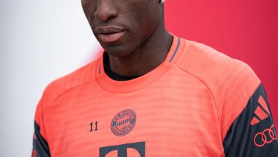Bayern Munich vs Hamburger SV: live flow, playing time, ratings, prediction, how to look Bayern Munich vs Hamburger SV: live flow, playing time, ratings, prediction, how to look