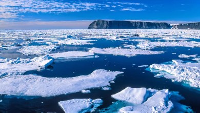 Scientists make alarming discovery while studying Arctic ice: ‘Powerful’ Scientists make alarming discovery while studying Arctic ice: ‘Powerful’