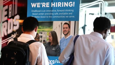 Panthers, dolphins, princess cruises and 34 other societies that hire hundreds to Sunrise Job Fair Panthers, dolphins, princess cruises and 34 other societies that hire hundreds to Sunrise Job Fair