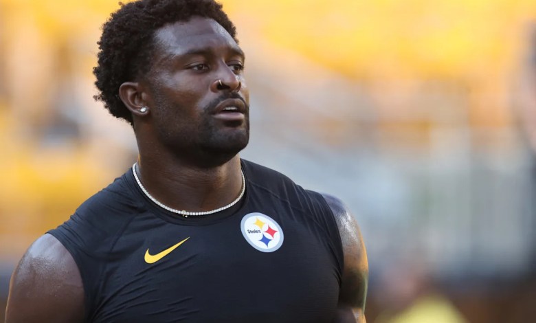 NFL won’t take action against fan in incident with Steelers’ Metcalf NFL won’t take action against fan in incident with Steelers’ Metcalf
