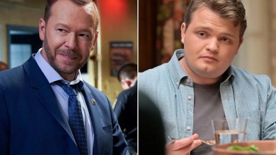 Donnie Wahlberg’s “Blue Bloods” spin-off overhangs her son after the 14 seasons of the original actor Donnie Wahlberg’s “Blue Bloods” spin-off overhangs her son after the 14 seasons of the original actor