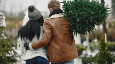 Christmas tree farms that look like they came straight out of a Hallmark holiday movie Christmas tree farms that look like they came straight out of a Hallmark holiday movie