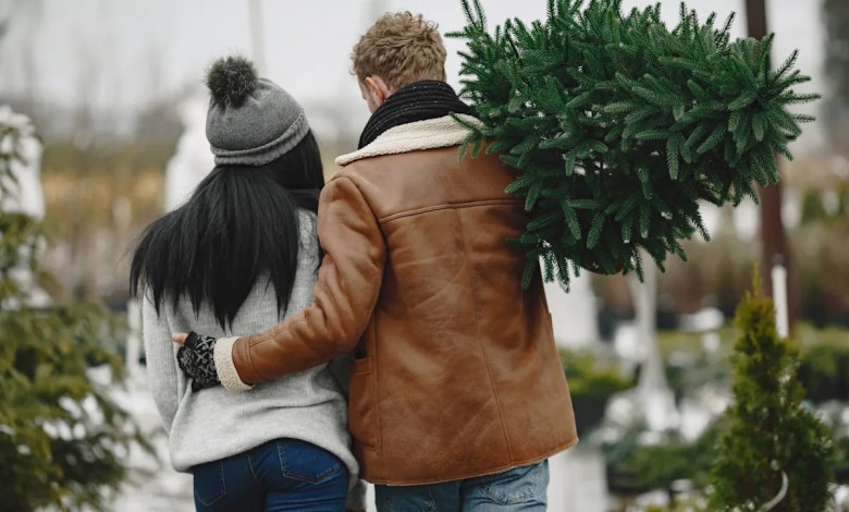 Christmas tree farms that look like they came straight out of a Hallmark holiday movie Christmas tree farms that look like they came straight out of a Hallmark holiday movie