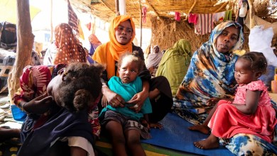 Rebel group claims capture of key Sudan town Rebel group claims capture of key Sudan town