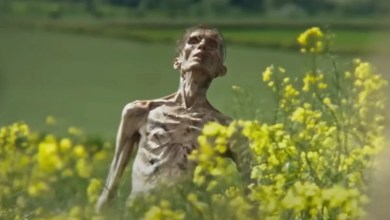 “These are great people think I look like a zombie corpse” “These are great people think I look like a zombie corpse”