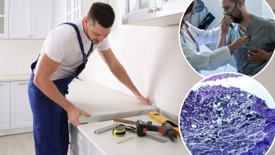 Incurable deadly disease caused by sophisticated kitchen design confirmed in Massachusetts Incurable deadly disease caused by sophisticated kitchen design confirmed in Massachusetts