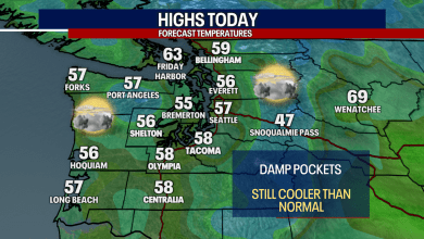 Cool showers continue in the weekend Cool showers continue in the weekend