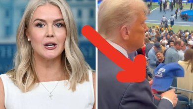 Trump’s open American appearance is absolutely destroyed online, and this sequence of Karoline Leavitt does not help Trump’s open American appearance is absolutely destroyed online, and this sequence of Karoline Leavitt does not help