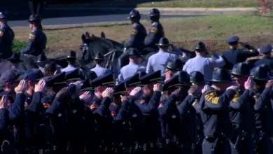 “He was a gentle giant.” “He was a gentle giant.”