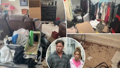 Inside Denise Richards and Aaron Phypers from the house of misery with stained carpets and clothes covered with butterflies Inside Denise Richards and Aaron Phypers from the house of misery with stained carpets and clothes covered with butterflies