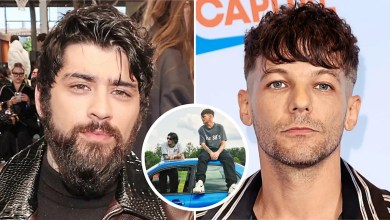 Zayn Malik and Louis Tomlinson docuseries suspended ‘indefinitely’ after ‘heated argument’ at bar Zayn Malik and Louis Tomlinson docuseries suspended ‘indefinitely’ after ‘heated argument’ at bar