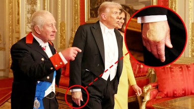 The royal family publishes a very honest photo of Trump’s hand makeup The royal family publishes a very honest photo of Trump’s hand makeup