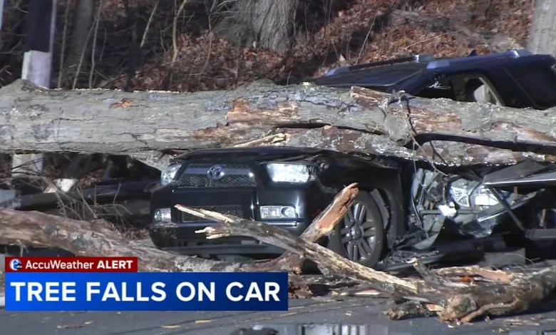 2 injured after tree falls on vehicle in Roxborough 2 injured after tree falls on vehicle in Roxborough