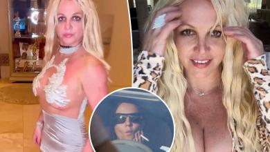 “Difficult” Britney Spears confronted with the authorities after turning on the cigarette in mid-vol: report “Difficult” Britney Spears confronted with the authorities after turning on the cigarette in mid-vol: report