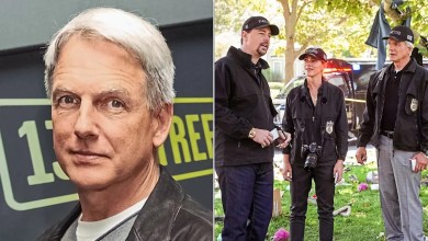 Team behind “NCIS” in crisis mode in the middle of weak television, hoping to exploit Mark Harmon to come back Team behind “NCIS” in crisis mode in the middle of weak television, hoping to exploit Mark Harmon to come back