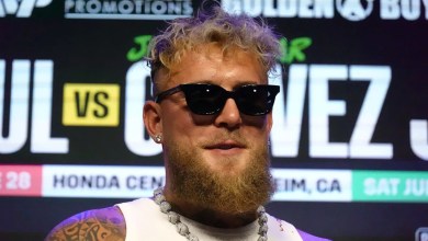 Jake Paul against Julio Cesar Chavez Jr. Undercard gets a series of new fights Jake Paul against Julio Cesar Chavez Jr. Undercard gets a series of new fights