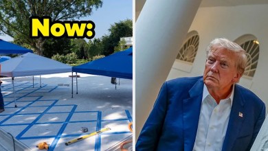 This photo before and after the Rose garden of the White House becomes viral This photo before and after the Rose garden of the White House becomes viral