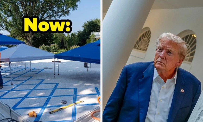 This photo before and after the Rose garden of the White House becomes viral This photo before and after the Rose garden of the White House becomes viral