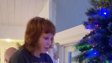 Reba McEntire’s latest video has fans screaming “Be careful!” » Reba McEntire’s latest video has fans screaming “Be careful!” »