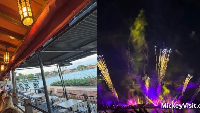 Are the reserved fireworks of Epcot in value of the price? We tried it to find out Are the reserved fireworks of Epcot in value of the price? We tried it to find out