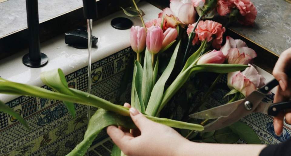10 Spring Flowers | Redfin 10 Spring Flowers | Redfin