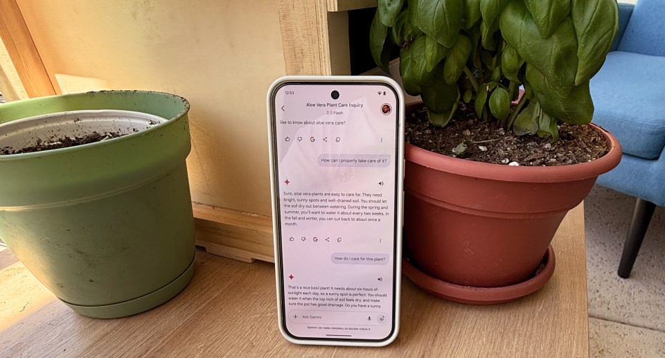 How Gemini Live’s video support helped me grow plants in the desert How Gemini Live’s video support helped me grow plants in the desert