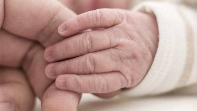 Los detalles de muerte de bebé en un carro mientras sus padres estaban en motel Los detalles de muerte de bebé en un carro mientras sus padres estaban en motel