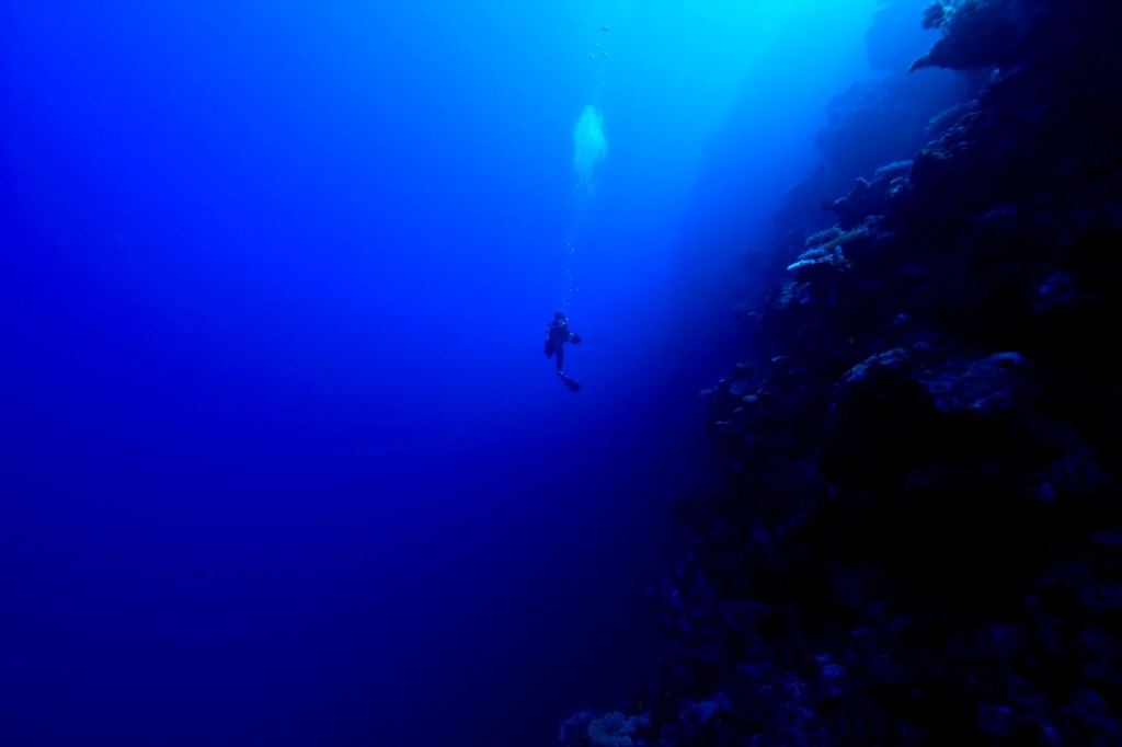 A Mysterious Donor Is Funding an Effort to Build a ‘Permanent Human Settlement’ Underwater A Mysterious Donor Is Funding an Effort to Build a ‘Permanent Human Settlement’ Underwater