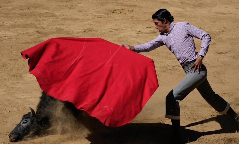 Mexico City bans violent bullfighting, sparking anger and celebration Mexico City bans violent bullfighting, sparking anger and celebration