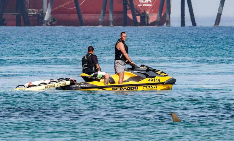 Swimmer’s body disappeared after rare shark attack near tourist beach: Report Swimmer’s body disappeared after rare shark attack near tourist beach: Report