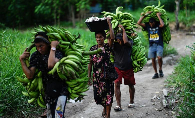 UN talks end in Rome, with the state supporting 0 billion a year to protect nature UN talks end in Rome, with the state supporting 0 billion a year to protect nature