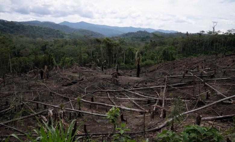 Peru’s law amendment raises fear of destruction of Amazon rainforest Peru’s law amendment raises fear of destruction of Amazon rainforest