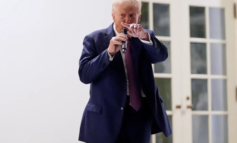 “Never seen anything like this” – What Trump’s favorite phrase says to his presidency “Never seen anything like this” – What Trump’s favorite phrase says to his presidency