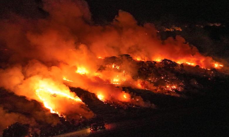 Brazilian judicial orders the government to capture land with proven illegal deforestation Brazilian judicial orders the government to capture land with proven illegal deforestation