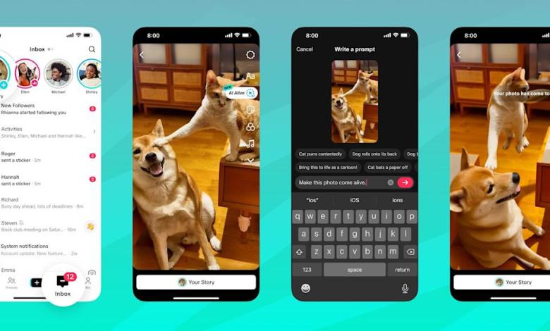 Tiktok just added AI-powered image to video feature and it did something weird for my cat Tiktok just added AI-powered image to video feature and it did something weird for my cat