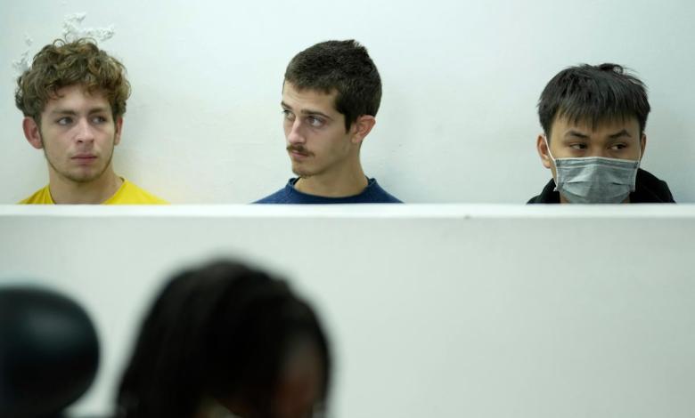 Belgian teenager found 5,000 ants sentenced within 2 weeks Belgian teenager found 5,000 ants sentenced within 2 weeks