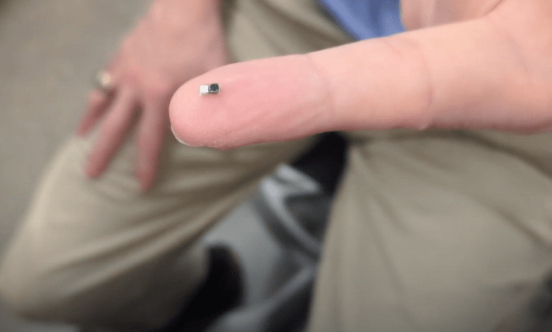 The world’s smallest pacemaker is injectable and powered by light The world’s smallest pacemaker is injectable and powered by light
