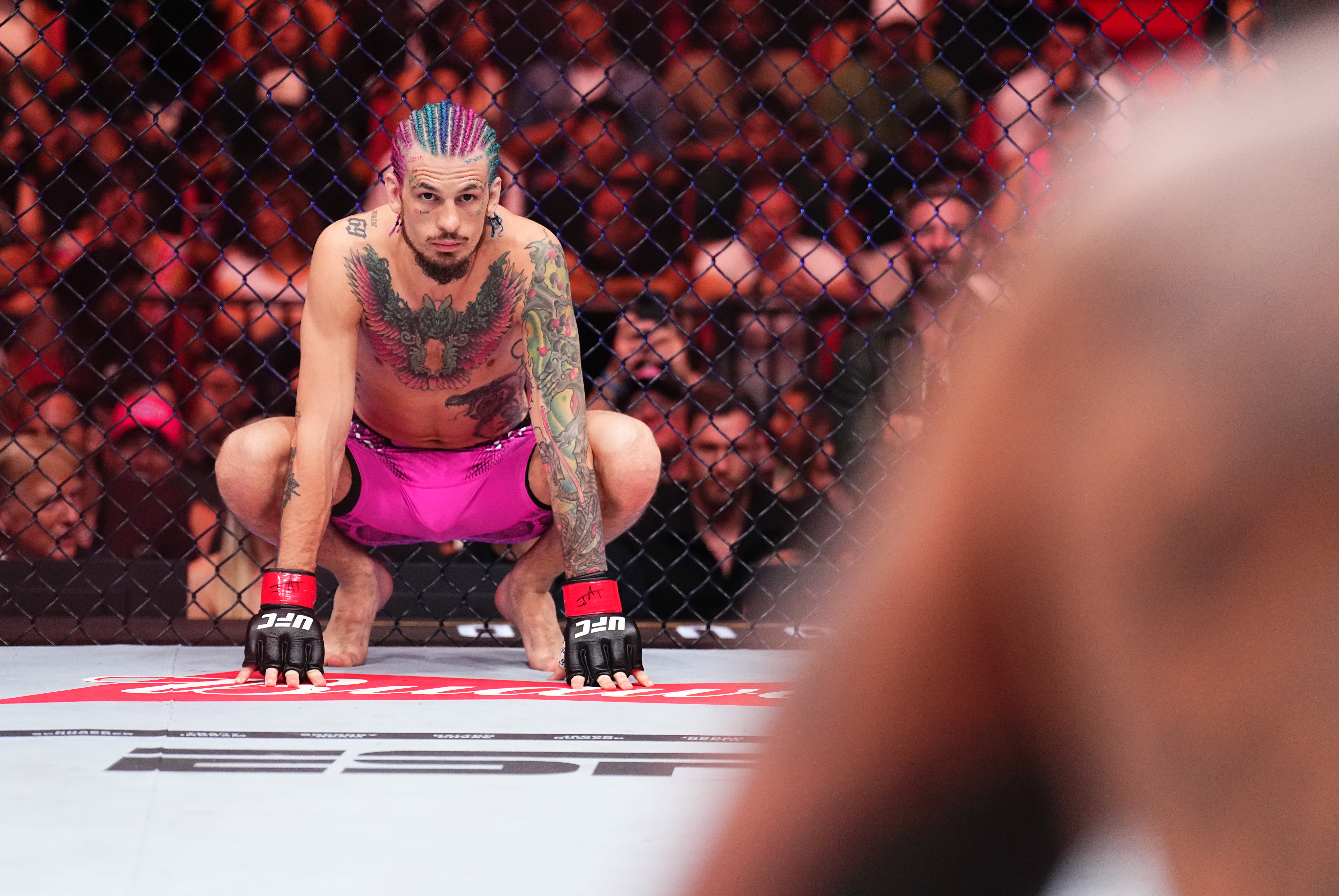 UFC 306: Sean O’Malley-Merab Dvalishvili, Alexa Grasso-Valentina Shevchenko title fights headline Sphere card UFC 306: Sean O’Malley-Merab Dvalishvili, Alexa Grasso-Valentina Shevchenko title fights headline Sphere card