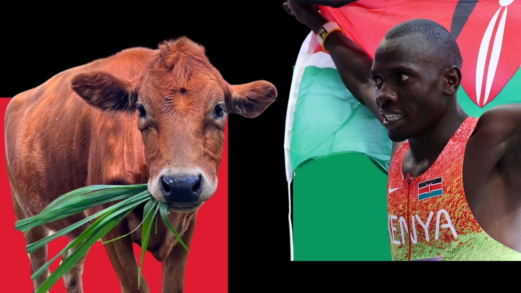 Wanyonyi’s journey from herdsboy to Olympic champion Wanyonyi’s journey from herdsboy to Olympic champion