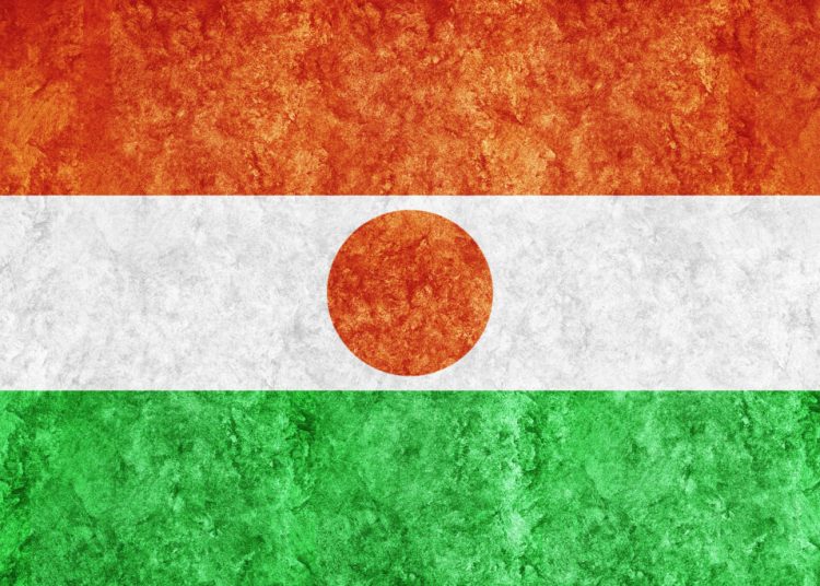 Mobilizare generală în Africa: un stat luptă împotriva jihadismului! Mobilizare generală în Africa: un stat luptă împotriva jihadismului!